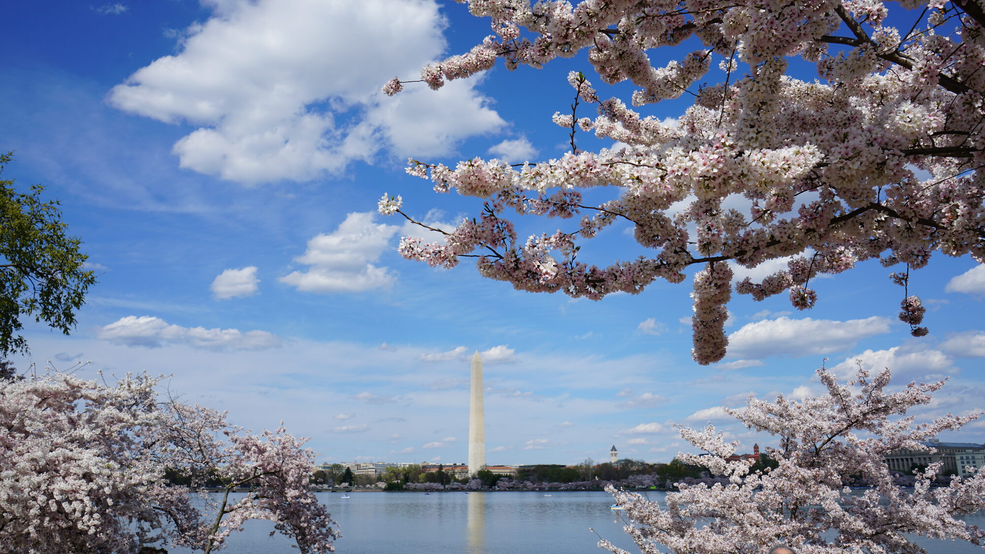 Washington Monument