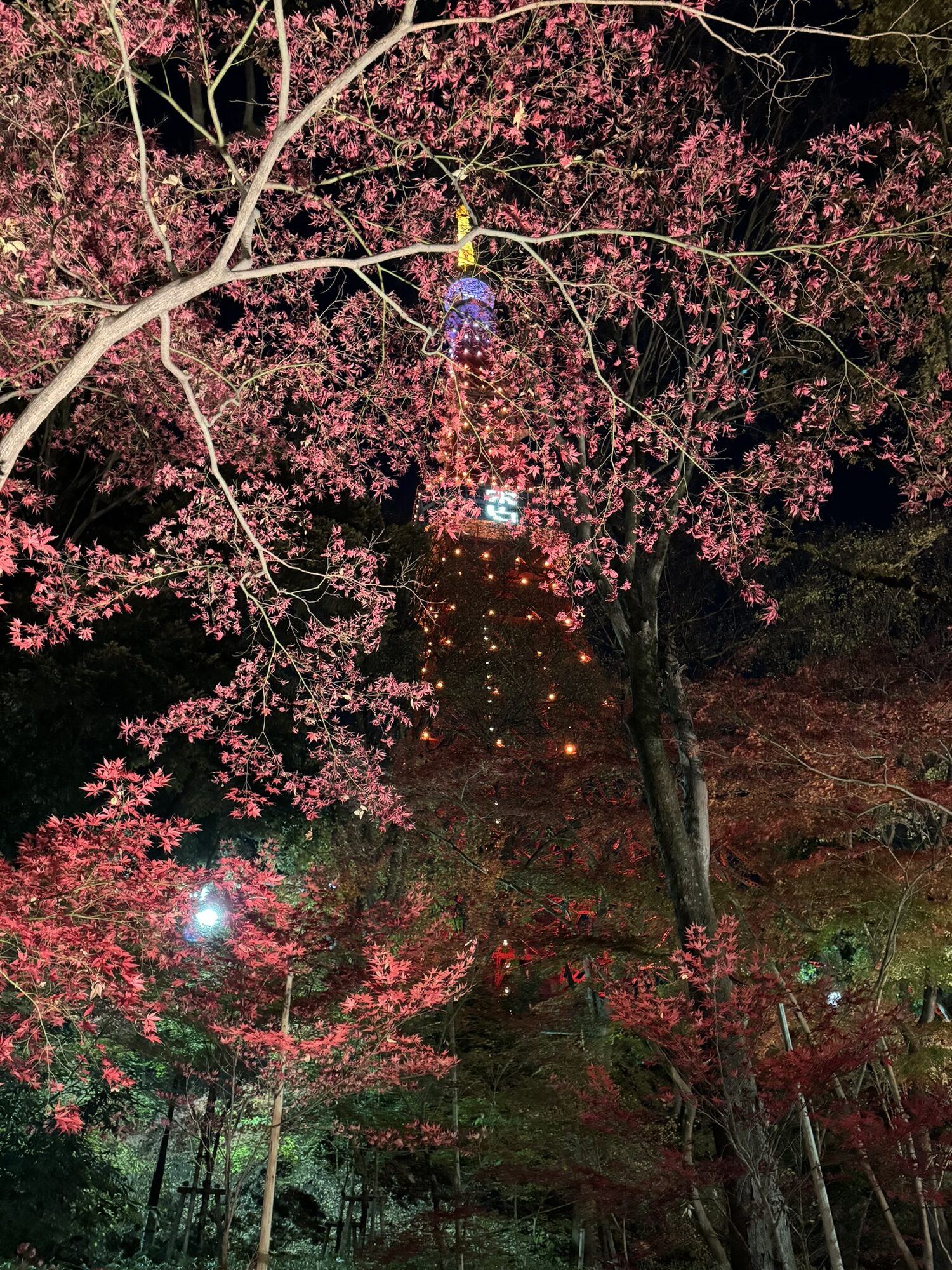 Tokyo Tower at night