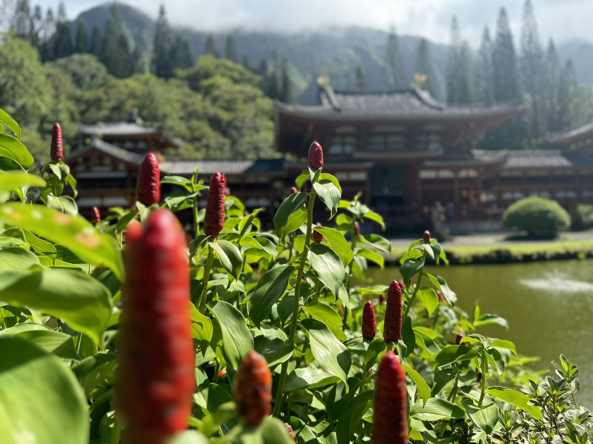 Red flowers temple