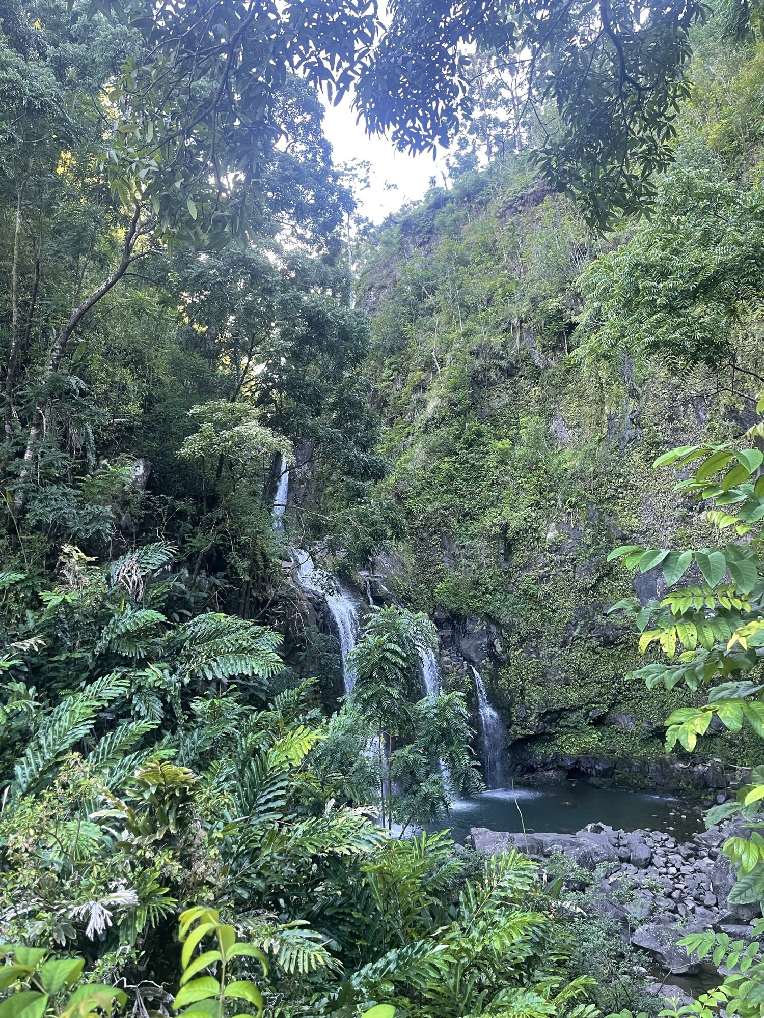 Tropical waterfall