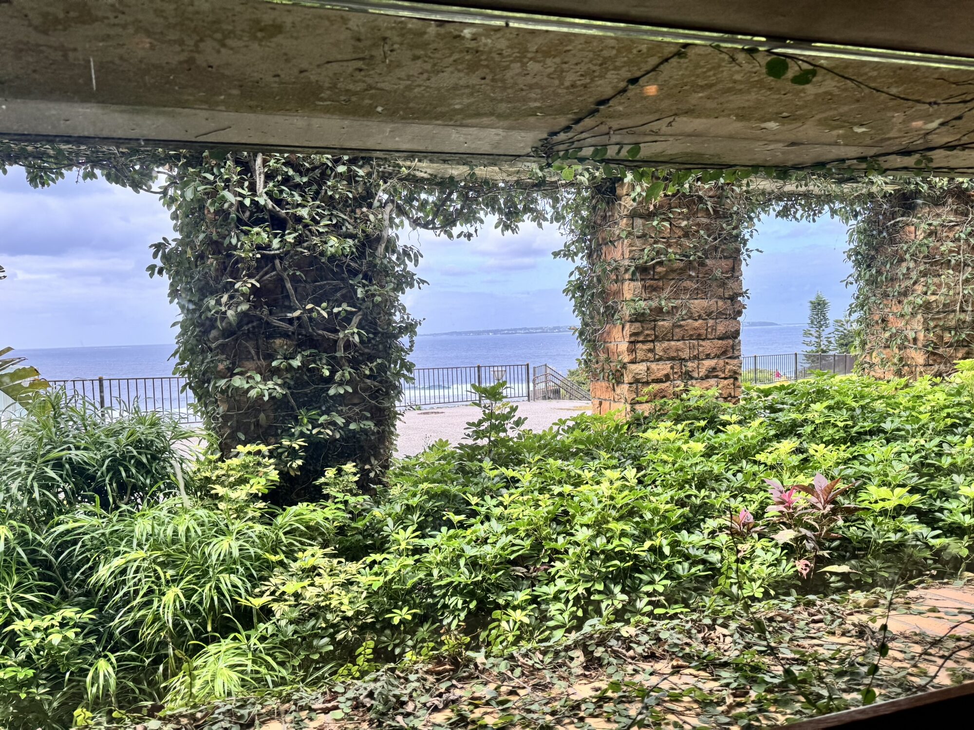 Overgrown ruins